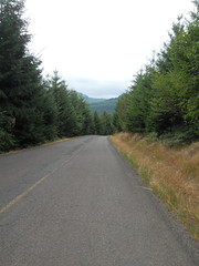 Meadow Lake Road becomes more rudimentary as you approach the Nestucca River Road