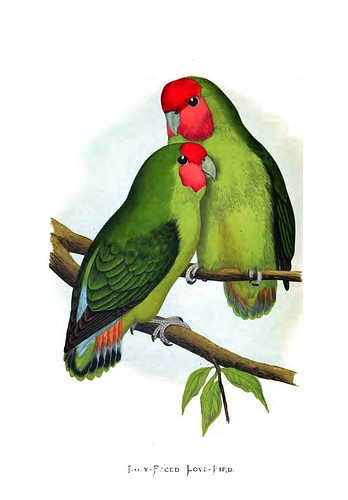 006-Parrots in captivity-1884- William Thomas Greene