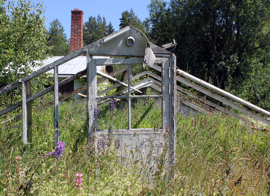 Abandoned Greenhouse