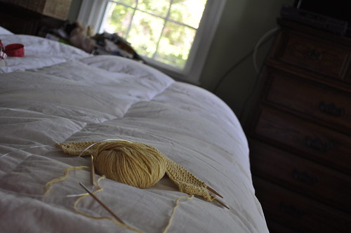 this week :: lounging and knitting