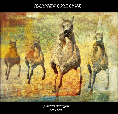 TOGETHER GALLOPING by jawadn_99