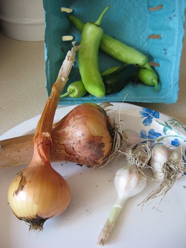 onion and garlic harvest