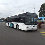 Driver Bus Lines Mount Waverley
