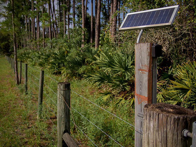 Solar powered fenceline