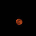 Red moon, low in the sky