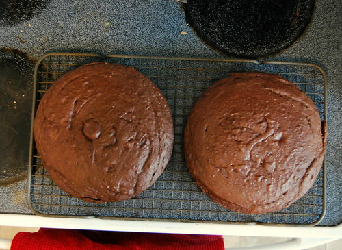 counter - chocolate cake layers
