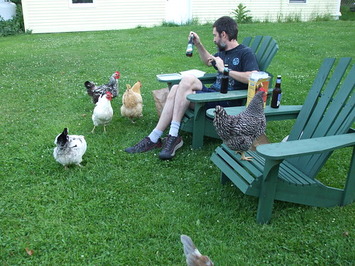 David and the chickens
