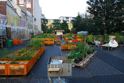 Projekt Gartendeck in Hamburg St.Pauli. Juli 2012