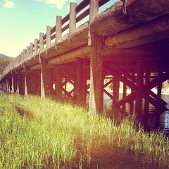 Fishing Bridge