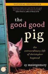 the good good pig