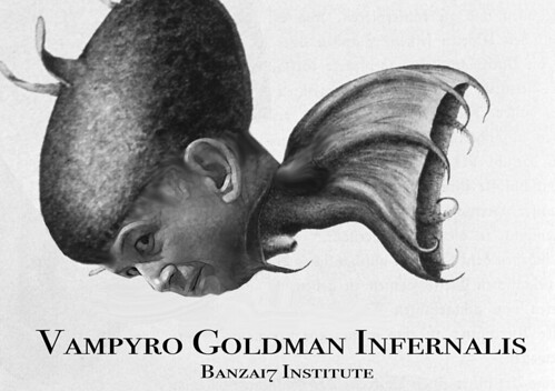 VAMPYRO GOLDMAN INFERNALIS copy by Colonel Flick
