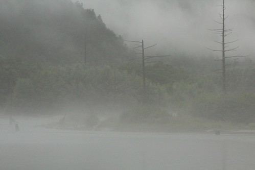 霧の大正池