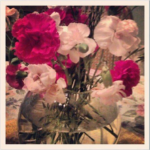Carnations at Grandma's House