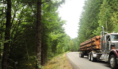 Logs loaded up in transport, truck, road, forest, logging country, Breightenbush, Oregon, USA by Wonderlane