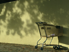 Lives of Shopping Carts