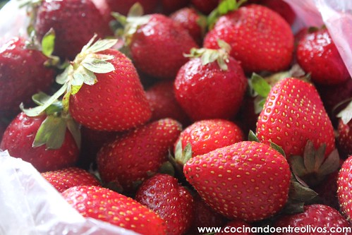 Helado de fresas y yogur (3)