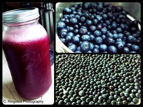 Life: Local Organic Blueberries... by Sanctuary-Studio