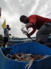 Today's Catch (Sinquerim,Goa)