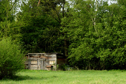 Little shed at the back of the neighbouring meadow