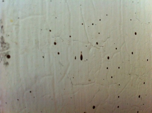Fecal Stain on Wall? - ID please Â« Got Bed Bugs? Bedbugger Forums