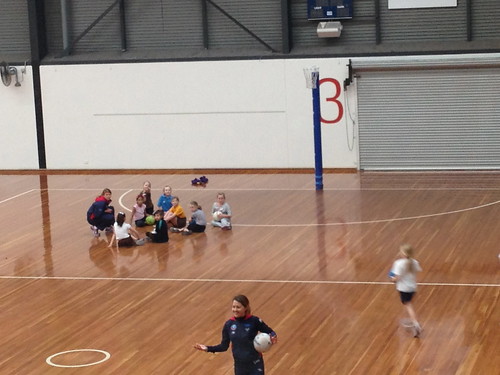 Melbourne Vixens Netball Clinics