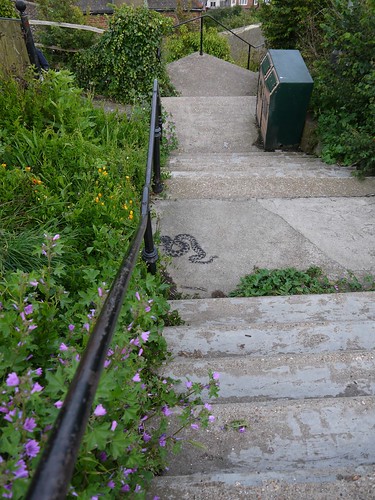 First appearance of Stewy British Adder Snake stencil, West Hill, Hastings by HastingsPeetArt
