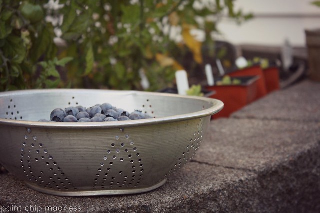bowl full of berries