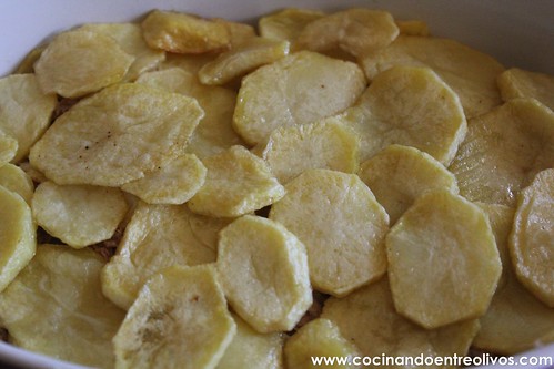 Patatas con bechamel y atún (5)