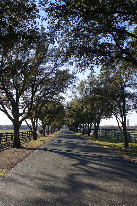 The Southfork Driveway - Dallas, TX