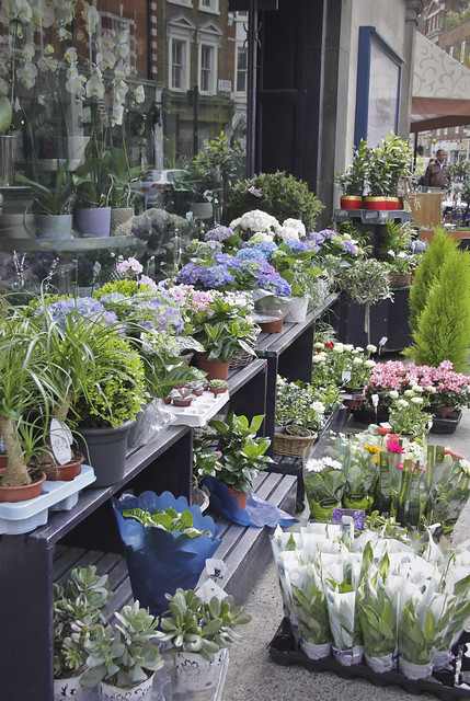 Marylebone High Street - flower shop