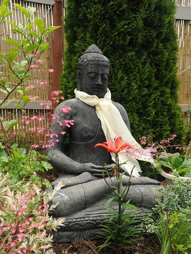 Statue of Lord Buddha, meditation posture, Amitabha, wearing a blessed white Tibetan khata (kata), ritual scarf, flowers, plants, bamboo fence, Seattle, Washington, USA by Wonderlane
