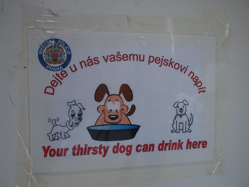 Police in Prague don't want your dog to be thirsty.