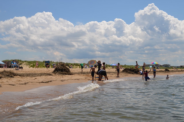 The beach at First Landing State Park attracts visitors year round