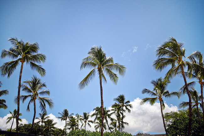 Mauna Kea Resort Big Island Hawaii | on our epic cross country roadtrip | 50 states photography challenge