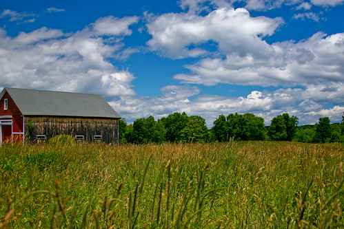 Barn & Field; Newton, NH June 2012 by Arthur Noel