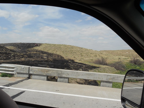 View of the burned area from the pickup