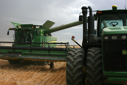 Dave dumps on the graincart in hopes to beat the rain