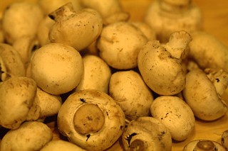 Closeup photo of about ten button mushrooms