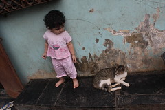 Nerjis Asif Shakir And The Bandra Cats by firoze shakir photographerno1