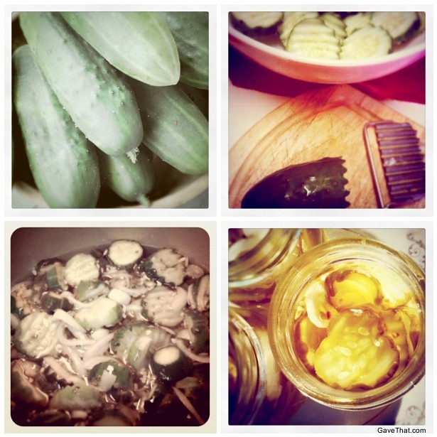 Instagraming the Pickling Process for making homemade bread and butter pickle gifts