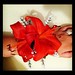 Tutzie's new creation has arrived! Corsage and much moré