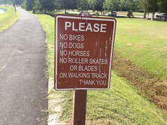  Lots of Rules 