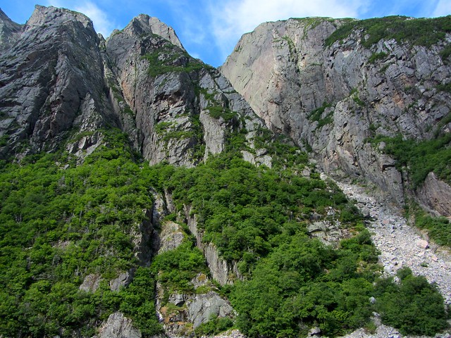 Cliffs and Trees on Western Brook Pond