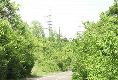 Grant's Trail 3
