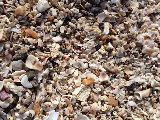 石門洞的貝殼沙灘