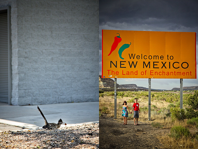 New Mexico Welcome Sign & Animal / Road runner | Cross Country Roadtrip | 50 States Photography Challenge