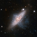 Aligned Galaxies NGC 3314