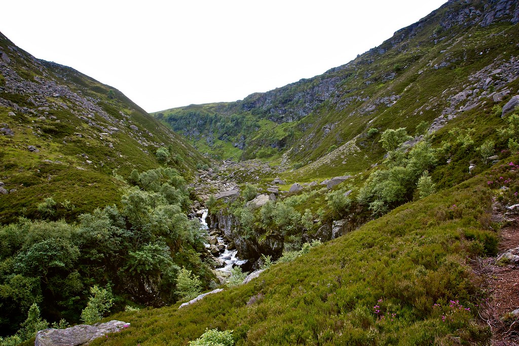 The narrow glen above the Falls of Unich