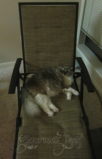 Tyco in Lounge Chair