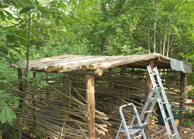 DSC_4172 firewood shelter